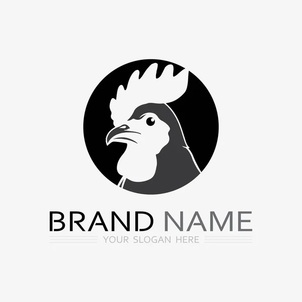 Chicken Logo Rooster Hen Logo Poultry Farming Animal Logo Vector — Stock Vector