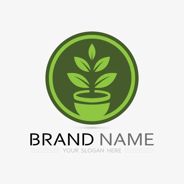 Kürek Ikonlu Bahçe Logosu Yeşil Yapraklı Ağaç Logo Şablonu — Stok Vektör