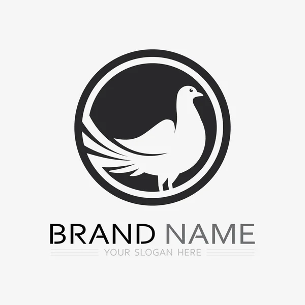 Ptaków Skrzydło Logo Zwierząt Wektor Ikona Mucha Projekt Ilustracja Szablon — Wektor stockowy