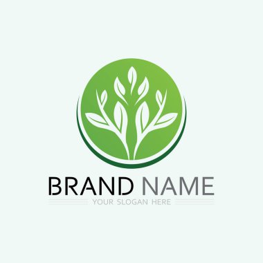 Doğa sembolü şablonu için yaprak logosu tasarım vektörü düzenlenebilir, Yeşil yapraklı logo ekoloji doğa element vektörü simgesi