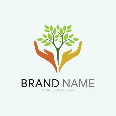 Doğa sembolü şablonu için yaprak logosu tasarım vektörü düzenlenebilir, Yeşil yapraklı logo ekoloji doğa element vektörü simgesi