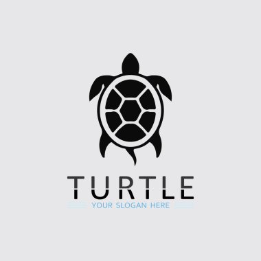 Turtle animal cartoon icon vector illustration clipart