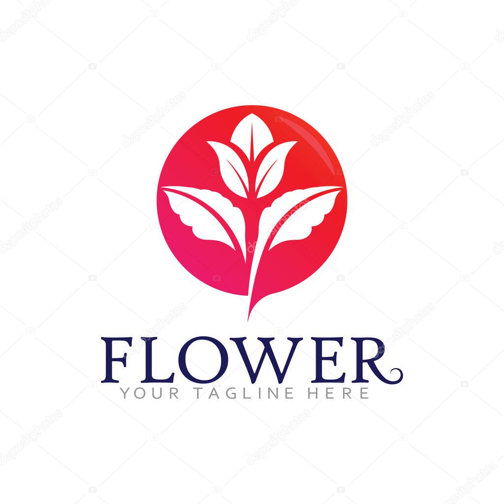 Luxury Botanical Logo Vector with Blooming Petals and Leaves