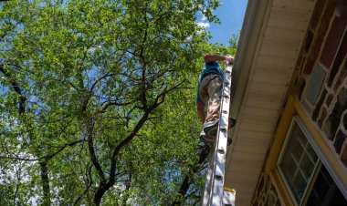 Low angle side view of man on ladder cleaning gutters of old stone home with tall tree and large leafy branches overhead, blue sky and clouds. Architectural features visible and one window. clipart