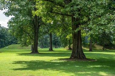 Ohio 'daki tarih öncesi yerliler tarafından inşa edilen Newark Dünya Fabrikası' ndaki Büyük Daire 'ye uzun ağaçlardan giriş. Çemberin içindeki kırık iç kısma açılıyor. Yeşil çimenler, güneşli açık hava