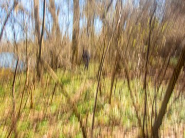 Colorful landscape graphic resource background. ICM Intentional camera movement blurred defocused background with a solitary hiker soft lines and welcoming nature feeling with bright colors and trees clipart
