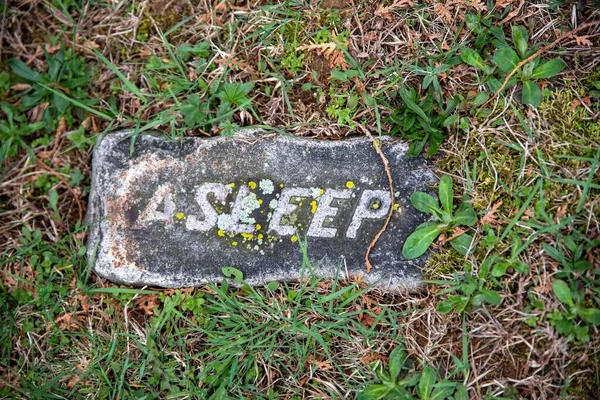 Yeşil Çimenli Yıpranmış Gri Bir Mezar Taşında Asleep Yazıyor Kopyalama — Stok fotoğraf