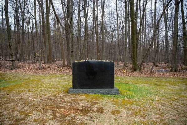 Çimenli Bir Mezarlıkta Ormanlık Alanda Yapayalnız Siyah Bir Mezar Taşı — Stok fotoğraf