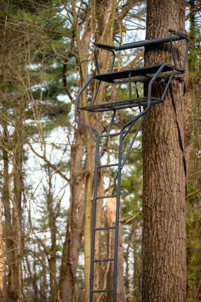 Green metal hunting tree stand with a ladder against a tall tree with bark texture in the Pennsylvania woods. Vertical hunting equipment image shot in natural light with copy space