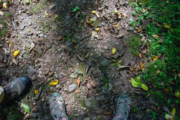 Woodland Dirt Path Leaves Grass Dappled Light Two People Feet — Stock Photo, Image