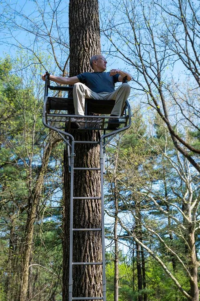 Ένας Άντρας Κάθεται Ένα Διθέσιο Δέντρο Και Στέκεται Στο Δάσος — Φωτογραφία Αρχείου