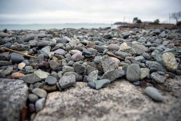 Висококутний Вигляд Гладеньких Сірих Кольорових Каменів Пляжі Нової Англії Велика — стокове фото