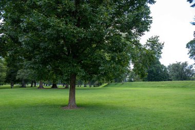 Ohio 'daki tarih öncesi yerli halk tarafından inşa edilen Newark Dünya Fabrikası' ndaki Büyük Çember 'in dış cephesi. Yeşil çimenler, gölgelik ağaçlar, güneşli açık hava, insansız ve kopyalama alanı..