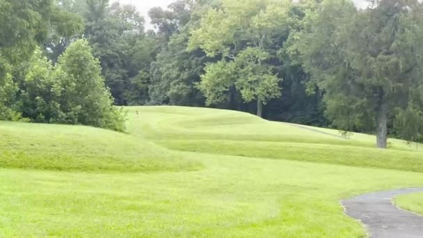 Vista Lateral Close Corpo Curvo Cobra Serpent Mound Ohio Maior — Vídeo de Stock