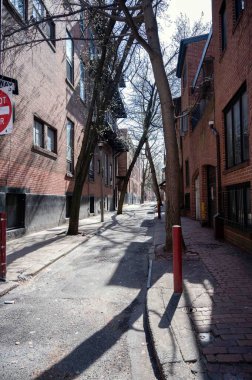 Philadelphia, Pennsylvania, ABD 03-14-2024 Uzun ağaçlar dar bir eski Philadelphia caddesinde kırmızı tuğla binaların üzerinde bir kemer oluşturur.