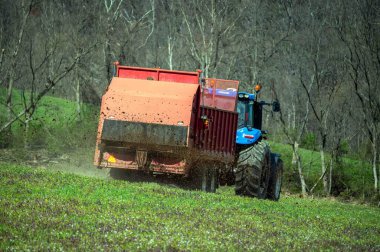 A blue farm tractor pulls a red manure spreader trailer and spreads manure on a green grassy agricultural field early spring woodland background with budding trees. clipart