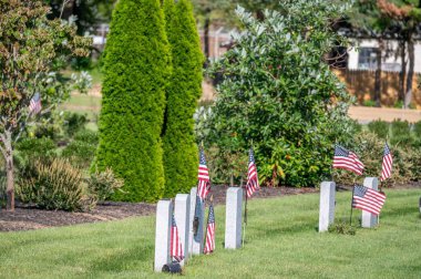 Gazilerin mezar taşlarının yanında rüzgarda dalgalanan Amerikan bayrakları olan yeşil çim mezarlığı. Kopyalama alanı olan insanlar yok..