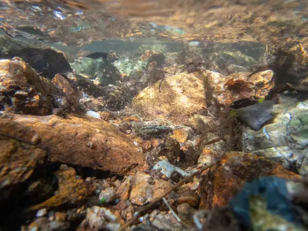 Stock image Beautiful underwater camera image of flowing water stream creek with ripples dynamic energy, and colorful pebbles nature background with no people