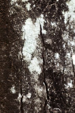 dikey siyah tahta yüzey dokusu