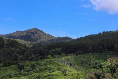 Endonezya 'da güneşli hava ile dağların ve tropikal ormanların fotoğrafı