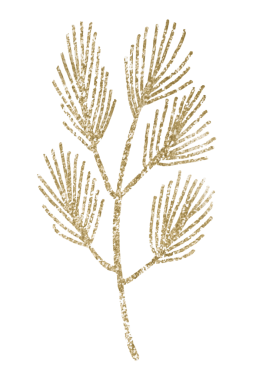 Parıltılı çam dalı ögesi şeffaf png