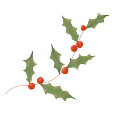 Holly böğürtlen etiketi png, Noel el çizimi, şirin kış tatili illüstrasyonu