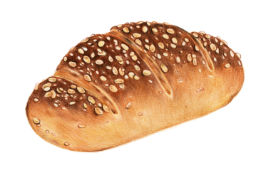 Taze pişmiş çoklu tahıllı ekmek elle çizilmiş.