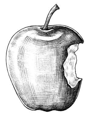 Elle çizilmiş elma meyvesi şeffaf png