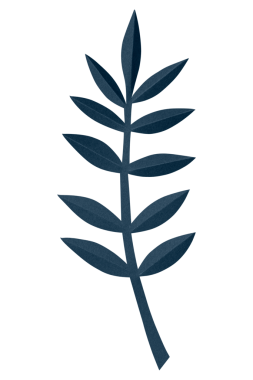 PNG yeşil kül yaprağı, kağıt işçiliği elementi, şeffaf arkaplan