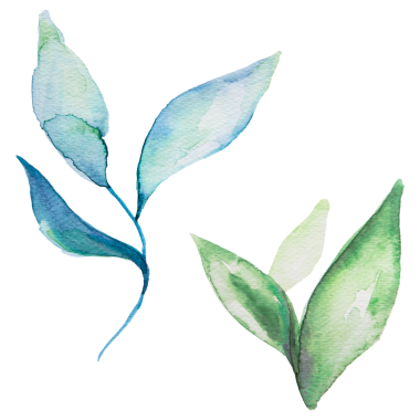 Şube suluboya tasarım ögesi şeffaf png