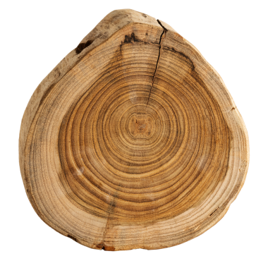 Tek doğranmış ağaç dilimi tasarım kaynağı