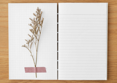 Boş çizgili defter tasarım elementinde kurumuş çiçek