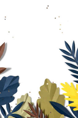 Png yaprak kenarı düz yatay biçimli