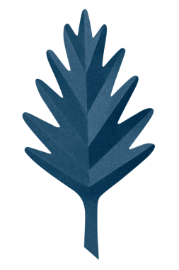 Meşe yaprağı png kağıt ustalığı stili