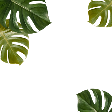 Tropik yeşil canavar çerçeve tasarım elementini bırakıyor