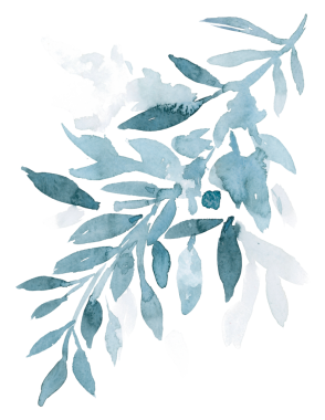 Estetik png mavi yaprak suluboya kış mevsimi grafikleri