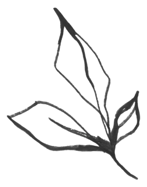 Png yaprağı etiketi, estetik çizgi sanat illüstrasyonu, klasik kamuya açık alan resimlerinden remiksleme