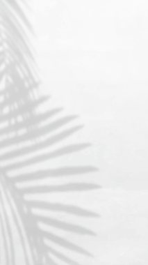 Arkaplan png, şeffaf arka planda doğal ışığı olan estetik gölge