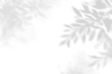 Png bitki gölgesi arkaplanı, şeffaf tasarımda botanik gölge