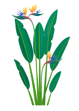 Cennet Kuşu png çıkartması, botanik 3D karikatür şeffaf arkaplan