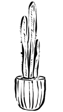 Kaktüs png etiketi, mürekkep fırçası botanik şeffaf arkaplan