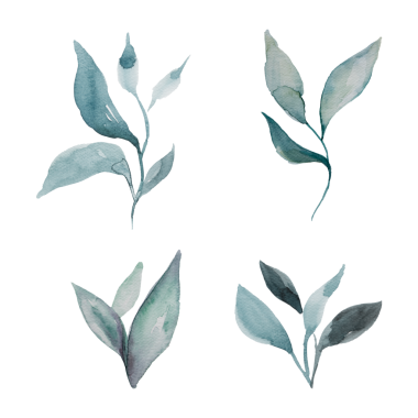 El boyası suluboya yapraklar şeffaf png seti