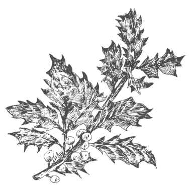 El çizimi kutsal dal şeffaf png