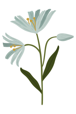 Çiçekli mavi botanik şeffaf png