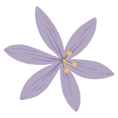 Mor botanik çiçeği sosyal ilanları şeffaf png şablonu