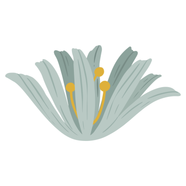 Mavi botanik sosyal reklamları şeffaf png şablonu