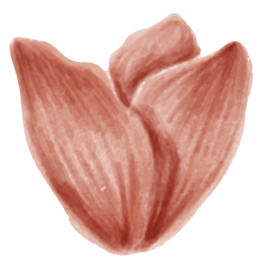 El çizimi kırmızı çiçek şeffaf png