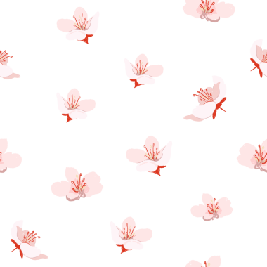 Çicek png kiraz çiçeği deseni şeffaf arkaplanda pembeyle