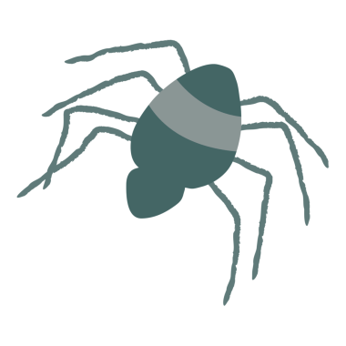 Simya örümceği png logosu mistik clipart illüstrasyonu minimum