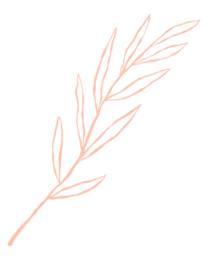 Yaprak png tatlı pembe karalama çizimi dal ile